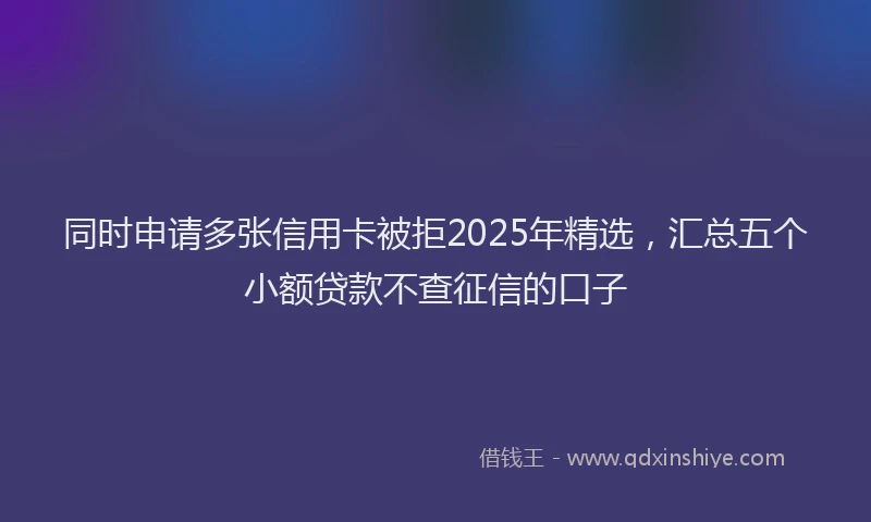 同时申请多张信用卡被拒2025年精选，汇总五个小额贷款不查征信的口子