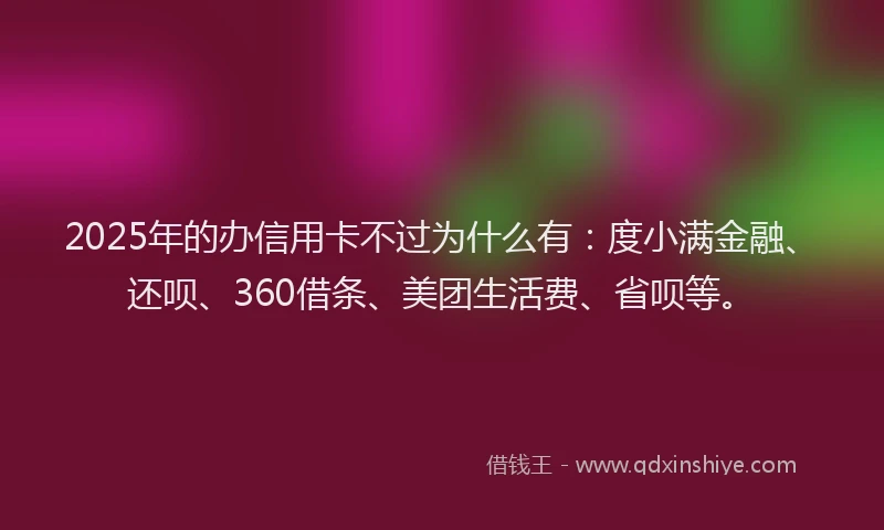 2025年的办信用卡不过为什么有：度小满金融、还呗、360借条、美团生活费、省呗等。