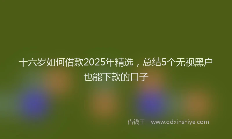 十六岁如何借款2025年精选，总结5个无视黑户也能下款的口子