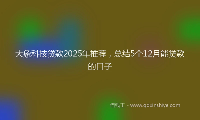 大象科技贷款2025年推荐，总结5个12月能贷款的口子
