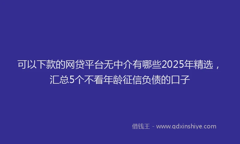 可以下款的网贷平台无中介有哪些2025年精选，汇总5个不看年龄征信负债的口子