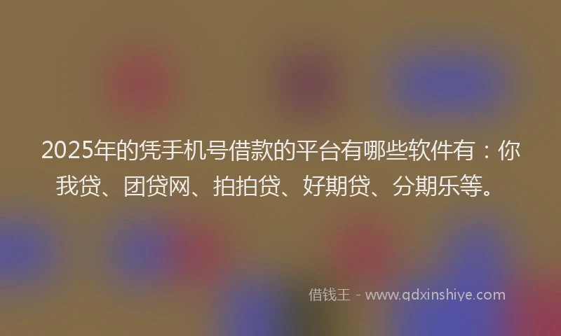 2025年的凭手机号借款的平台有哪些软件有：你我贷、团贷网、拍拍贷、好期贷、分期乐等。