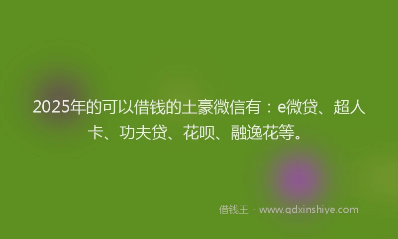 2025年的可以借钱的土豪微信有：e微贷、超人卡、功夫贷、花呗、融逸花等。