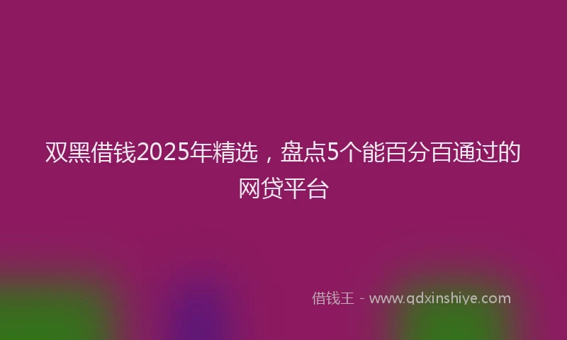 双黑借钱2025年精选，盘点5个能百分百通过的网贷平台