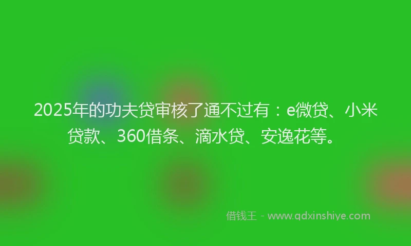 2025年的功夫贷审核了通不过有：e微贷、小米贷款、360借条、滴水贷、安逸花等。