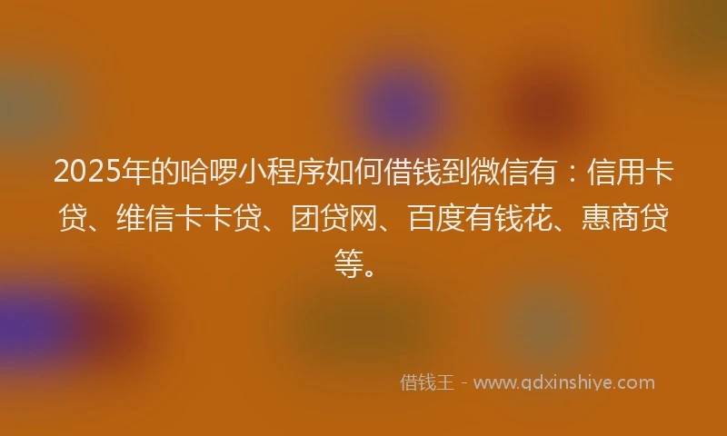 2025年的哈啰小程序如何借钱到微信有：信用卡贷、维信卡卡贷、团贷网、百度有钱花、惠商贷等。