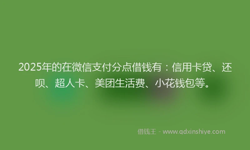 2025年的在微信支付分点借钱有：信用卡贷、还呗、超人卡、美团生活费、小花钱包等。