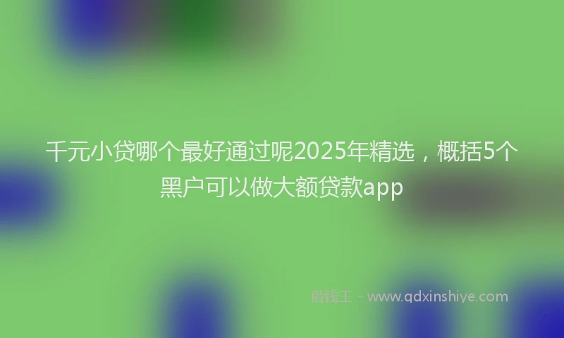 千元小贷哪个最好通过呢2025年精选，概括5个黑户可以做大额贷款app