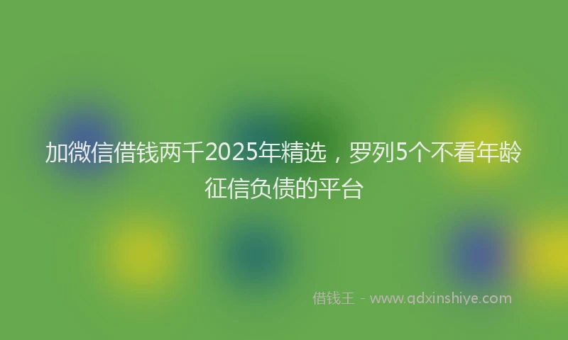 加微信借钱两千2025年精选，罗列5个不看年龄征信负债的平台