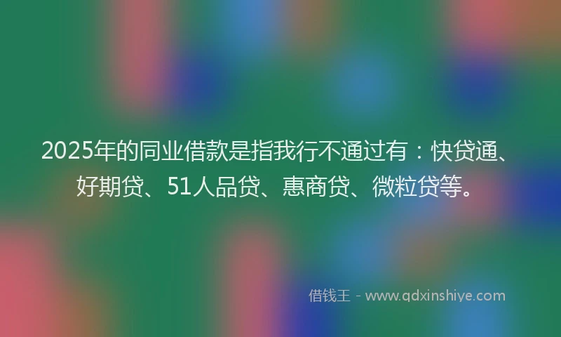 2025年的同业借款是指我行不通过有：快贷通、好期贷、51人品贷、惠商贷、微粒贷等。