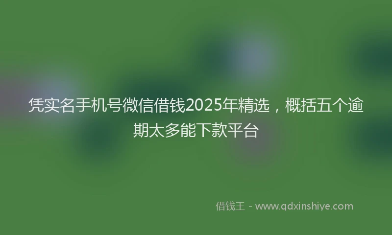 凭实名手机号微信借钱2025年精选，概括五个逾期太多能下款平台