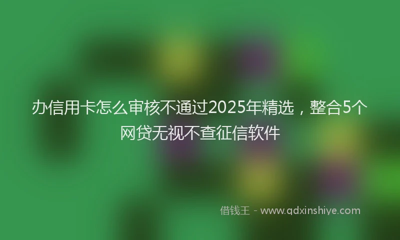 办信用卡怎么审核不通过2025年精选，整合5个网贷无视不查征信软件