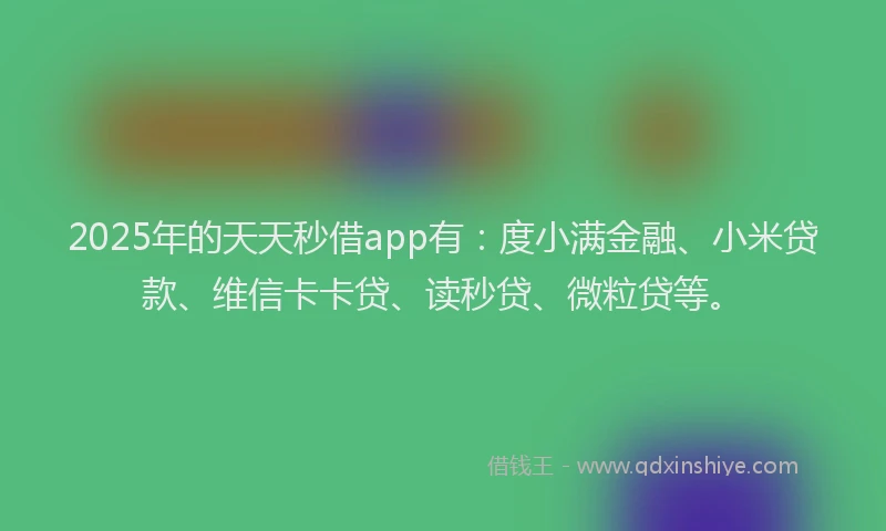 2025年的天天秒借app有：度小满金融、小米贷款、维信卡卡贷、读秒贷、微粒贷等。
