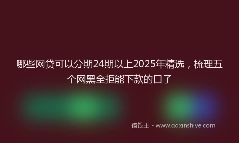 哪些网贷可以分期24期以上2025年精选，梳理五个网黑全拒能下款的口子