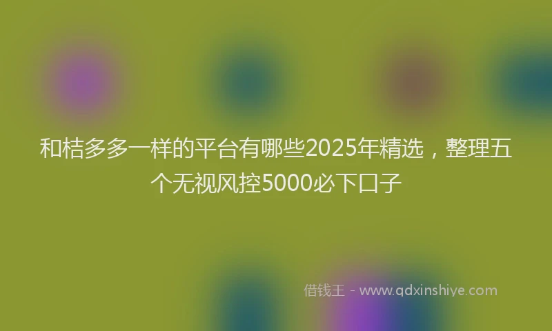和桔多多一样的平台有哪些2025年精选，整理五个无视风控5000必下口子
