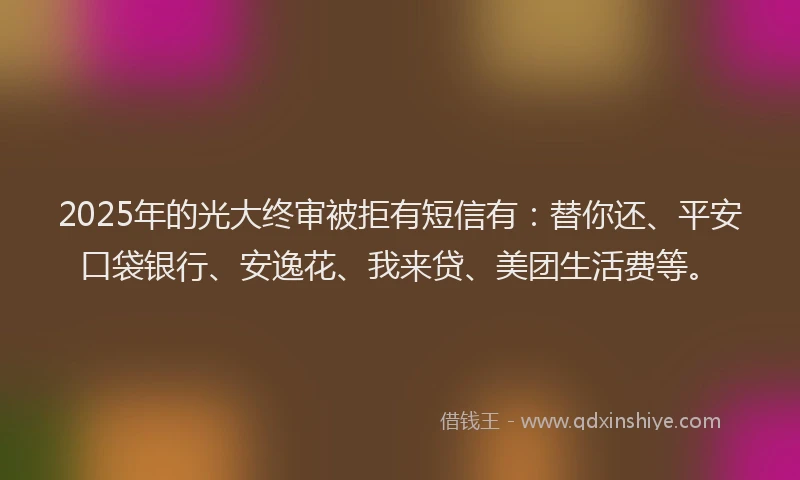 2025年的光大终审被拒有短信有：替你还、平安口袋银行、安逸花、我来贷、美团生活费等。