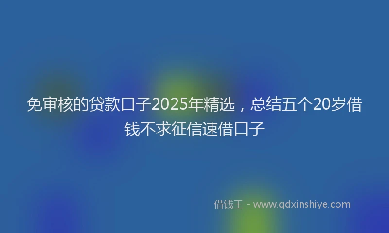 免审核的贷款口子2025年精选，总结五个20岁借钱不求征信速借口子