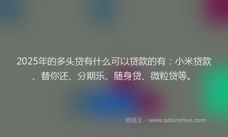 2025年的多头贷有什么可以贷款的有：小米贷款、替你还、分期乐、随身贷、微粒贷等。
