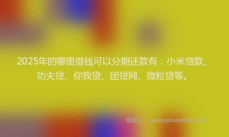 2025年的哪里借钱可以分期还款有：小米贷款、功夫贷、你我贷、团贷网、微粒贷等。