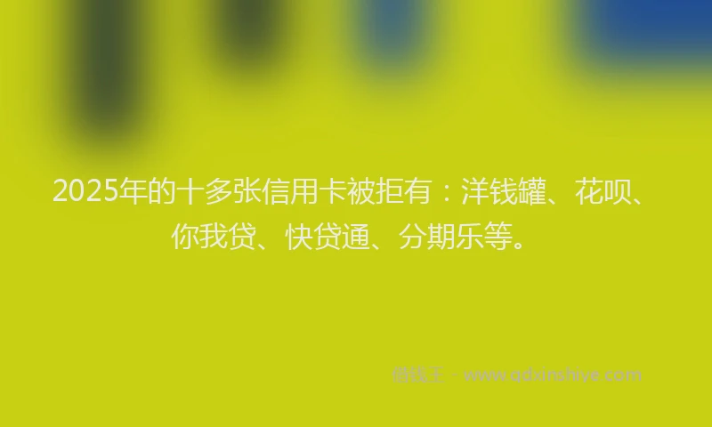 2025年的十多张信用卡被拒有：洋钱罐、花呗、你我贷、快贷通、分期乐等。