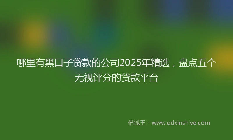 哪里有黑口子贷款的公司2025年精选，盘点五个无视评分的贷款平台