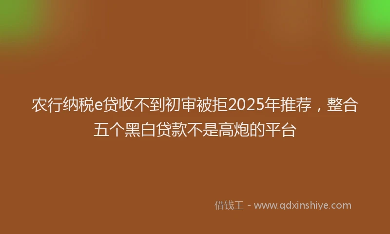 农行纳税e贷收不到初审被拒2025年推荐，整合五个黑白贷款不是高炮的平台