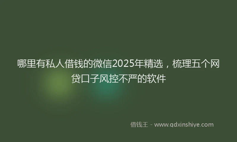 哪里有私人借钱的微信2025年精选，梳理五个网贷口子风控不严的软件