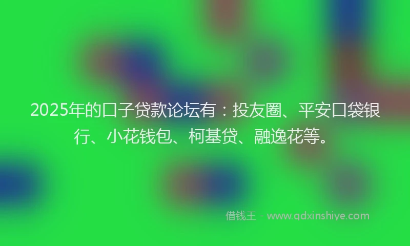 2025年的口子贷款论坛有：投友圈、平安口袋银行、小花钱包、柯基贷、融逸花等。