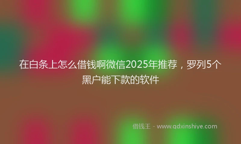 在白条上怎么借钱啊微信2025年推荐，罗列5个黑户能下款的软件