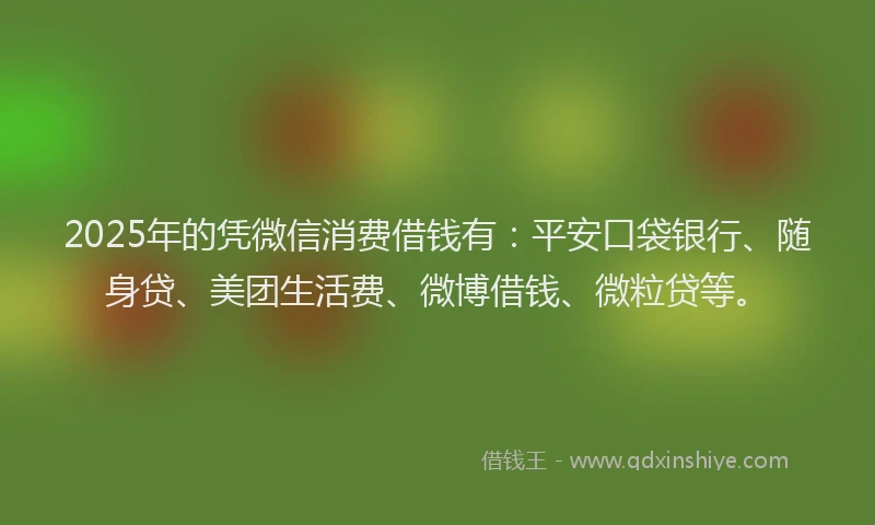 2025年的凭微信消费借钱有：平安口袋银行、随身贷、美团生活费、微博借钱、微粒贷等。