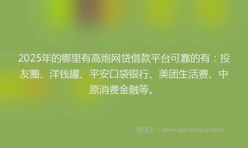 2025年的哪里有高炮网贷借款平台可靠的有：投友圈、洋钱罐、平安口袋银行、美团生活费、中原消费金融等。
