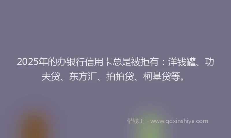 2025年的办银行信用卡总是被拒有：洋钱罐、功夫贷、东方汇、拍拍贷、柯基贷等。