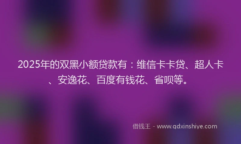 2025年的双黑小额贷款有：维信卡卡贷、超人卡、安逸花、百度有钱花、省呗等。