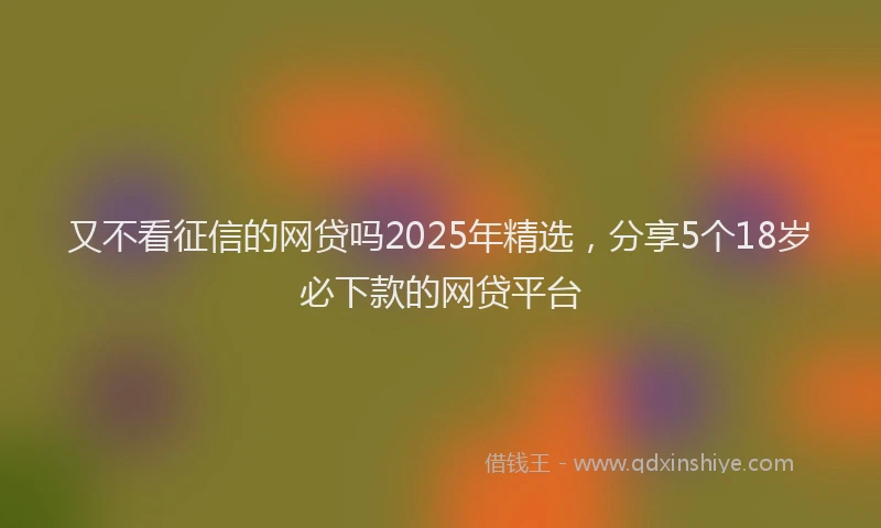 又不看征信的网贷吗2025年精选，分享5个18岁必下款的网贷平台