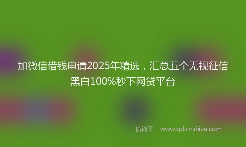 加微信借钱申请2025年精选，汇总五个无视征信黑白100%秒下网贷平台