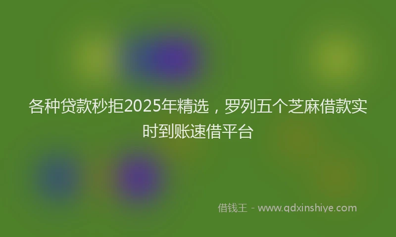 各种贷款秒拒2025年精选，罗列五个芝麻借款实时到账速借平台