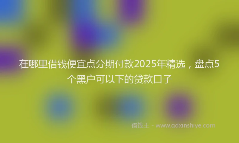 在哪里借钱便宜点分期付款2025年精选，盘点5个黑户可以下的贷款口子
