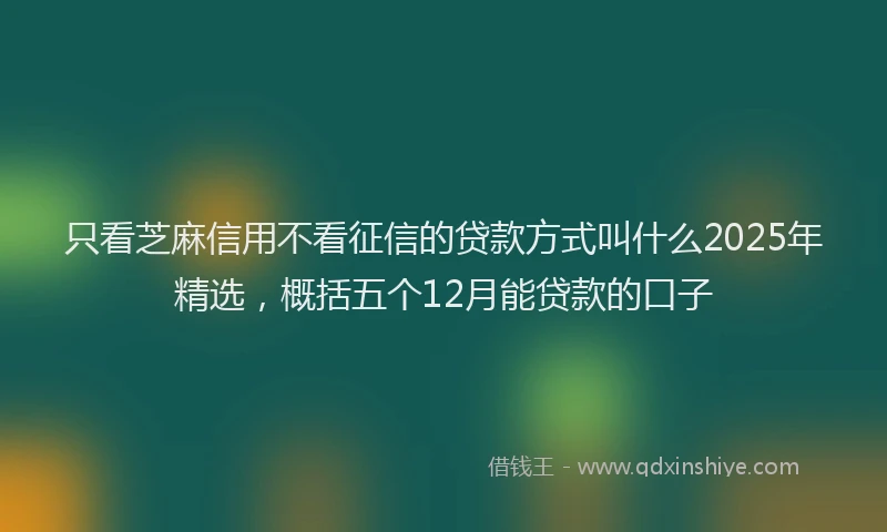 只看芝麻信用不看征信的贷款方式叫什么2025年精选，概括五个12月能贷款的口子