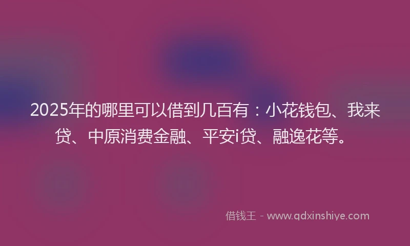 2025年的哪里可以借到几百有：小花钱包、我来贷、中原消费金融、平安i贷、融逸花等。