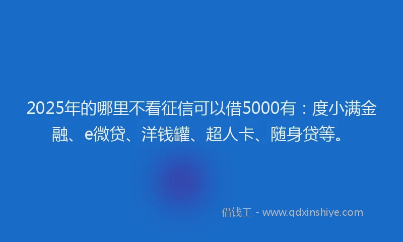 2025年的哪里不看征信可以借5000有：度小满金融、e微贷、洋钱罐、超人卡、随身贷等。