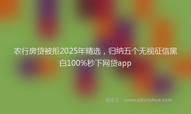 农行房贷被拒2025年精选，归纳五个无视征信黑白100%秒下网贷app