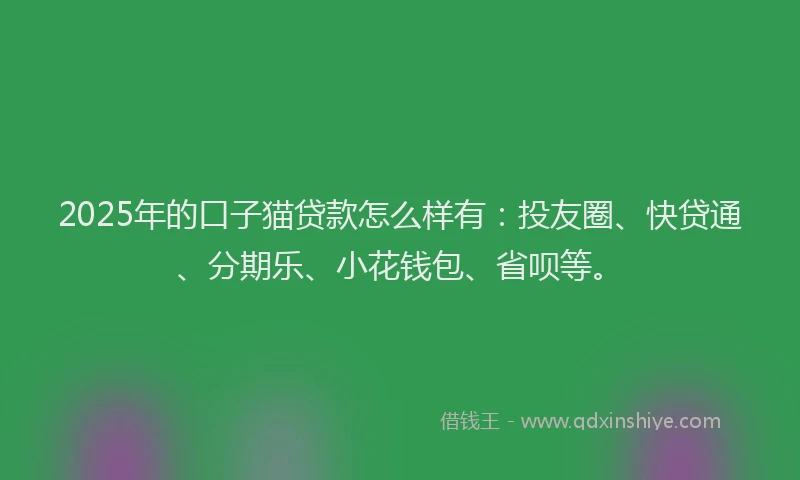 2025年的口子猫贷款怎么样有：投友圈、快贷通、分期乐、小花钱包、省呗等。