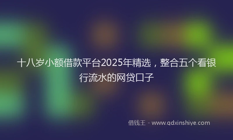 十八岁小额借款平台2025年精选，整合五个看银行流水的网贷口子