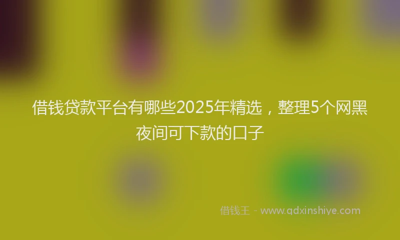 借钱贷款平台有哪些2025年精选，整理5个网黑夜间可下款的口子