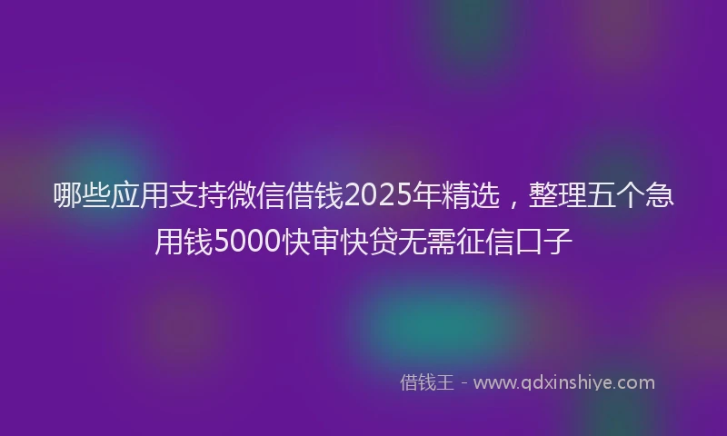 哪些应用支持微信借钱2025年精选，整理五个急用钱5000快审快贷无需征信口子