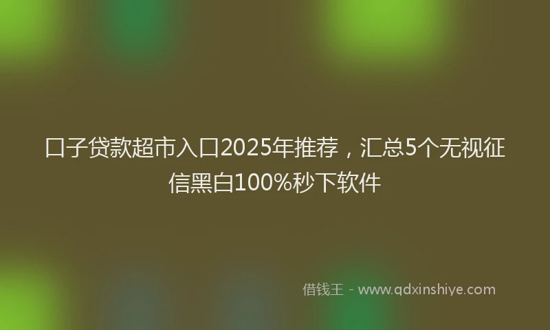 口子贷款超市入口2025年推荐，汇总5个无视征信黑白100%秒下软件