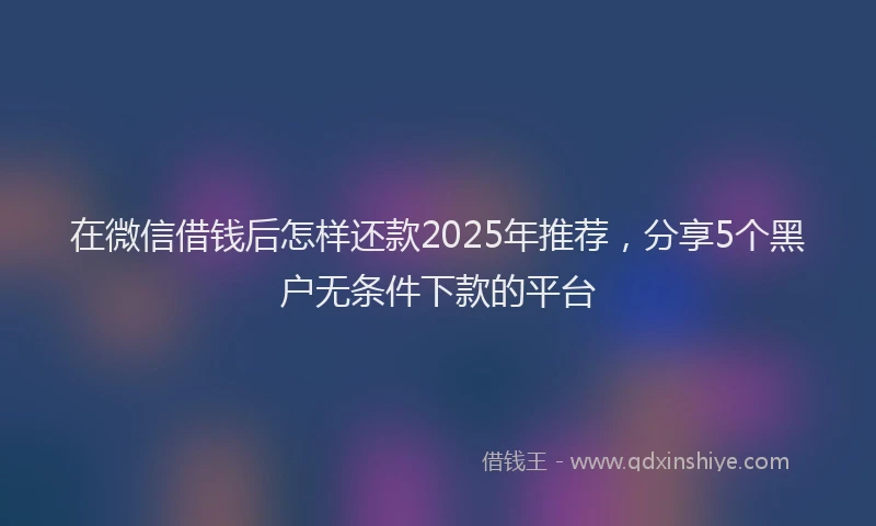 在微信借钱后怎样还款2025年推荐，分享5个黑户无条件下款的平台