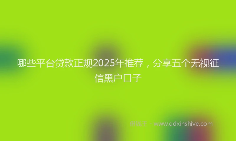 哪些平台贷款正规2025年推荐，分享五个无视征信黑户口子