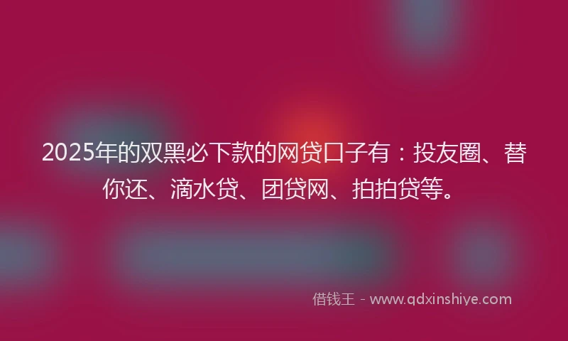 2025年的双黑必下款的网贷口子有：投友圈、替你还、滴水贷、团贷网、拍拍贷等。