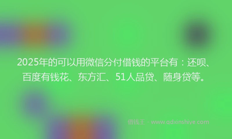2025年的可以用微信分付借钱的平台有：还呗、百度有钱花、东方汇、51人品贷、随身贷等。